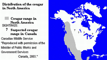 cougar range canada